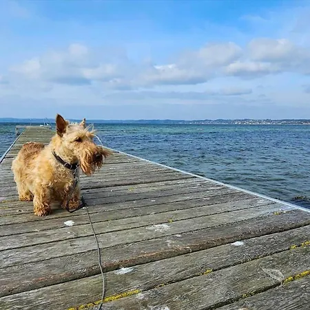 Сasa de vacaciones 84118-ebeltoft-egernvej-49 Ebeltoft